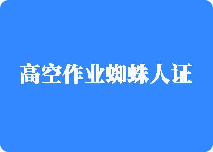 小美女操逼大美女操逼高空作业蜘蛛人证